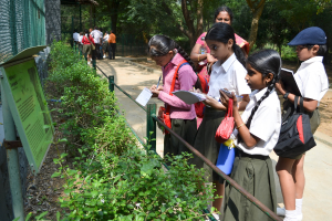 Vier Kinder stehen auf der rechten Seite, schreiben in ihren Büchern, neben einer Frau in einem pinken Sari, mit einem Eisenzaun, Pflanzen und einem grünen Schild vor ihnen, einem Zaun dahinter und mehr Kindern und Bäumen im Hintergrund eines Parks.