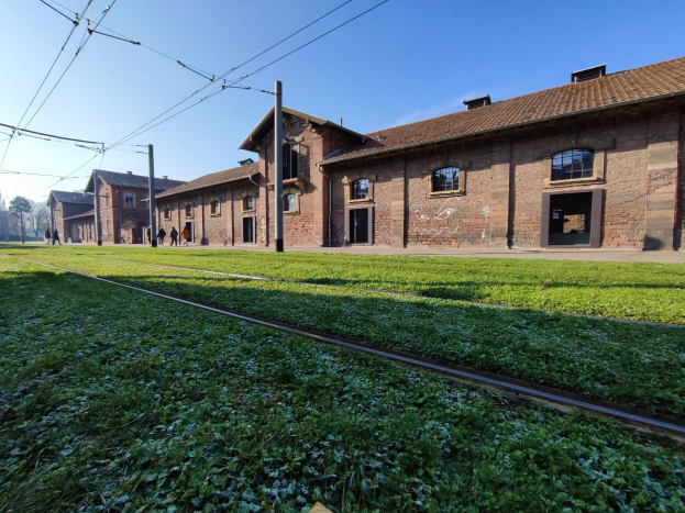 Eisenbahnschienen, die durch ein grasbewachsenes Feld im Auschwitz-Birkenau-Konzentrationslager führen, mit einem Gebäude, Strommasten, Bäumen und wenigen Menschen im Hintergrund.