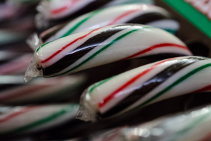 Verschiedene Pralinen ordentlich arrangiert und in einer Schachtel verpackt.