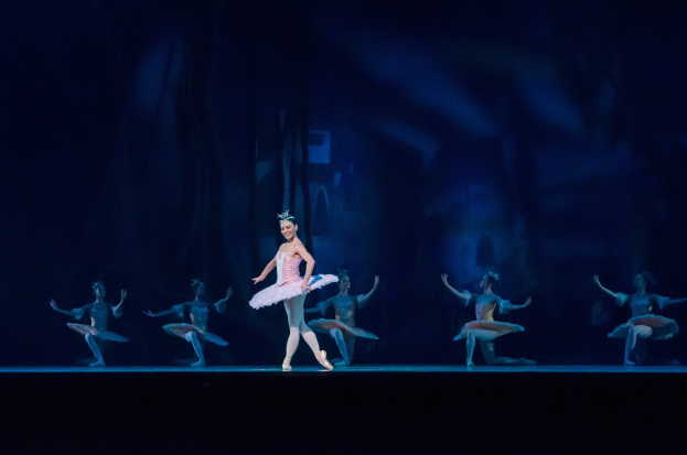 Eine Ballerina in einem pinken Tutu und Spitzenschuhen tanzt auf einer dunklen Bühne umgeben von anderen Tänzern in ähnlichen Kostümen.