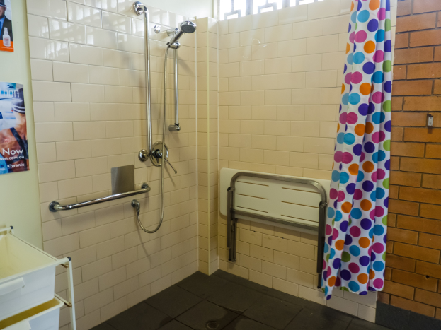 Ein barrierefreies Badezimmer mit Dusche, Handläufen, Vorhang, Wandpostern, einem Ständer mit Tablett und einem Fenster.