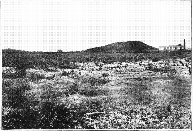 Schwarz-weiß-Foto eines Feldes mit einem Hügel im Hintergrund, einem Geb├Ąude auf der rechten Seite und einem Himmel ├Âberall, mit 'New York State Penitentiary' Text unten.