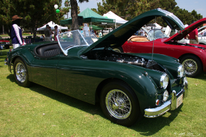 Autos sind auf einer grasigen Fläche mit Zelten und Bäumen im Hintergrund geparkt.