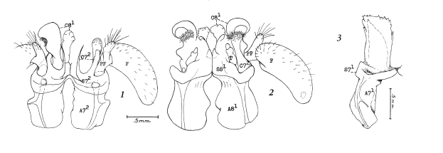 Diagramm eines menschlichen Herzens, das die Klappen hervorhebt und mit Nummern und Text versehen ist, um einen Patentanspruch für eine Herzklappe anzuzeigen.