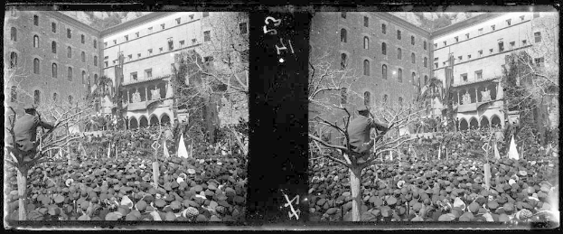 Ein Schwarz-Weiß-Foto einer großen Menge von Menschen vor einem Gebäude mit Bäumen und Fahnen im Hintergrund, einige halten Schilder und Banner, was auf eine Demonstration in einer Stadt hindeutet.