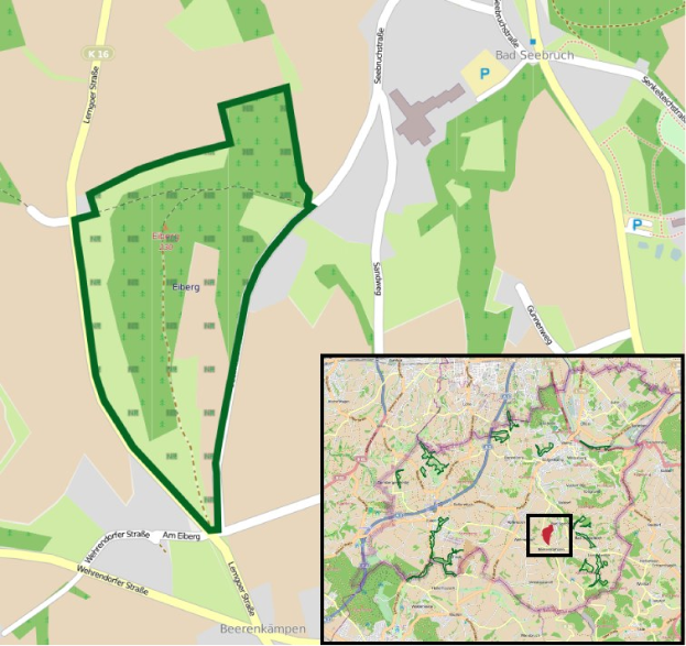 Ausführliche Stadtkarte mit einem zentralen grünen Bereich, der für die geplante Entwicklung markiert ist, zeigt Straßen, Gebäude und Sehenswürdigkeiten.