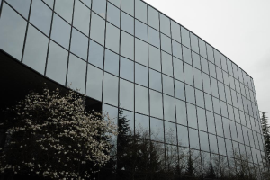 Ein modernes Gebäude mit Glasfassaden, umgeben von Bäumen, unter einem klaren Himmel.