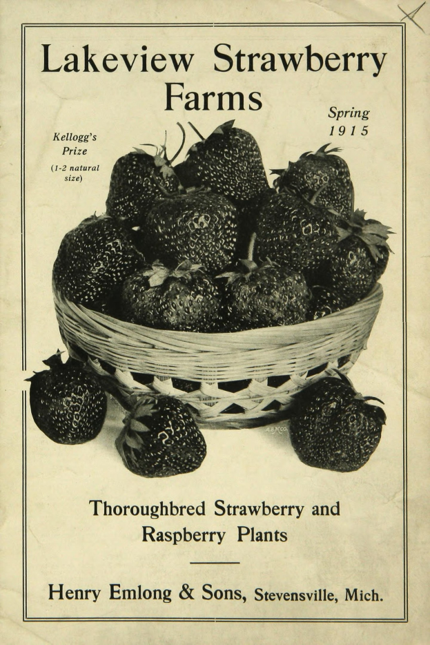Plakat aus dem Frühling 1915, das Lakeview Strawberry Farms bewirbt und einen Korb reifer roter Erdbeeren zeigt mit dem Text "Zuchtstamm Erdbeeren und Himbeeren" darüber.