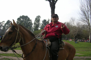 Eine Person auf einem Pferd mit Bäumen, Gras und ein paar anderen Menschen im Hintergrund.