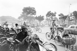 Eine vielbefahrene Straße mit Fahrrädern, Autos und anderen Fahrzeugen, mit Bäumen und Gebäuden im Hintergrund.