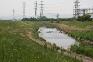 Ein Fluss durchquert ein grünes Feld mit Stromleitungen, Pflanzen und Bäumen im Vordergrund, mit Bergen und Himmel im Hintergrund.