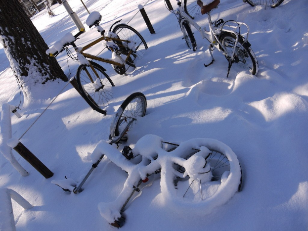 Eine dichte Anordnung von Fahrrädern, teilweise im Schnee vergraben, mit einem Baumstamm und einer Straße daneben.