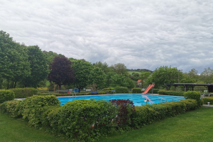 Großer rechteckiger Swimmingpool in einer grünen Wiese umgeben von Bäumen, Pflanzen, Pfählen, einem Schuppen und einem bewölkten Himmel.