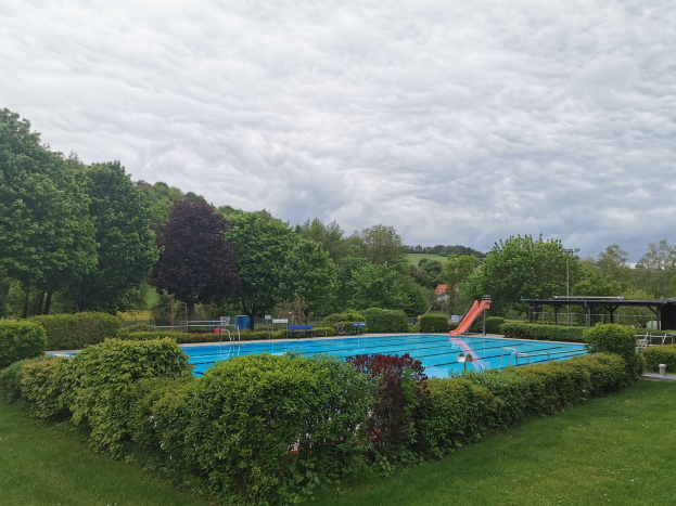 Großer rechteckiger Swimmingpool in einer grünen Wiese umgeben von Bäumen, Pflanzen, Pfählen, einem Schuppen und einem bewölkten Himmel.