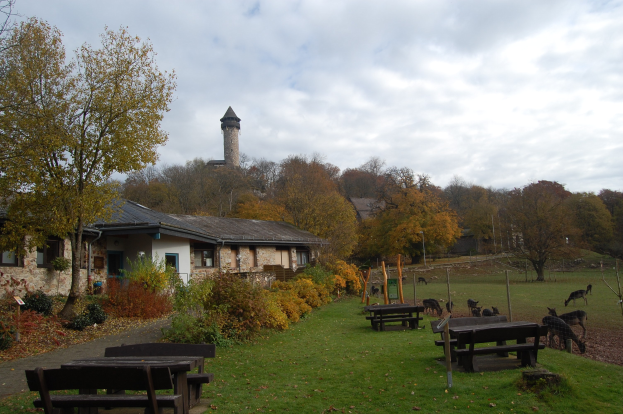 Hubertusfest in der Eifel: Erleben Sie die Wildtiere des Herbstes aus der Nähe