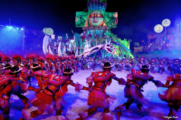 Eine Gruppe von Menschen in bunten Kostümen tanzt auf einer Bühne vor einem sitzenden Publikum bei der Rio-Karneval 2014, mit einem Bildschirm im Hintergrund, der eine Person und andere Gegenstände anzeigt.
