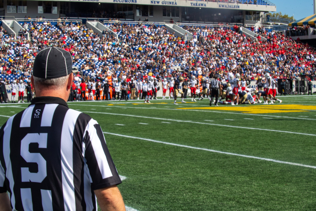 Referee standing on a football field near a crowd, with railings, boards, poles, trees, and a clear blue sky in the background.