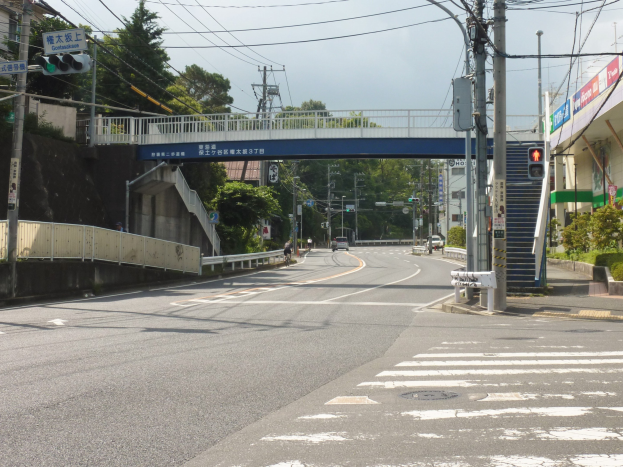 Stadtstraße mit einer Fußgängerbrücke darüber, Fahrzeuge auf der Straße, Strommasten mit Drähten, Verkehrsampeln, Schilder, Gebäude mit Fenstern, Bäume, Pflanzen und einen Himmel als Hintergrund.