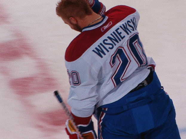 Professioneller Hockey-Spieler mit "Wisniewski"-Trikot, der einen Hockey-Schläger auf dem Eis hält und konzentriert schaut.