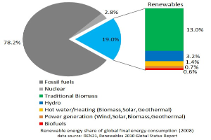 Tortendiagramm, das den globalen erneuerbaren Energieverbrauch im Jahr 2008 zeigt, aufgeteilt nach Energiequellen einschließlich fossiler Brennstoffe, Kernenergie, Wasserkraft, Warmwasser, Heizung, Biomasse, Solar, Geothermie und Biokraftstoffe.
